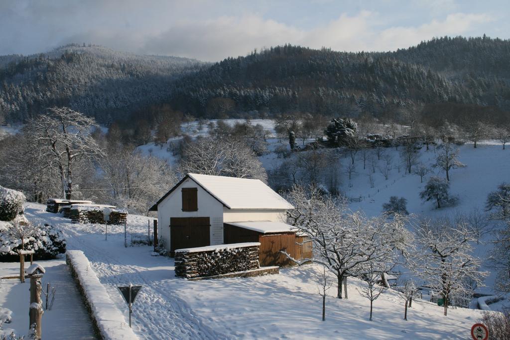 Bella Natura Loffenau Exterior photo